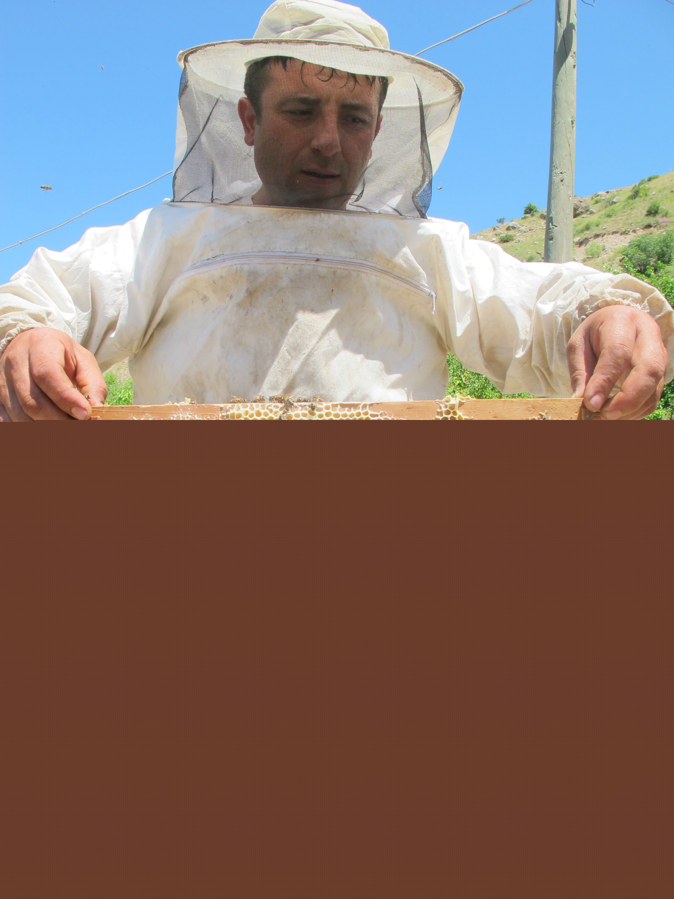 Kemah Bal